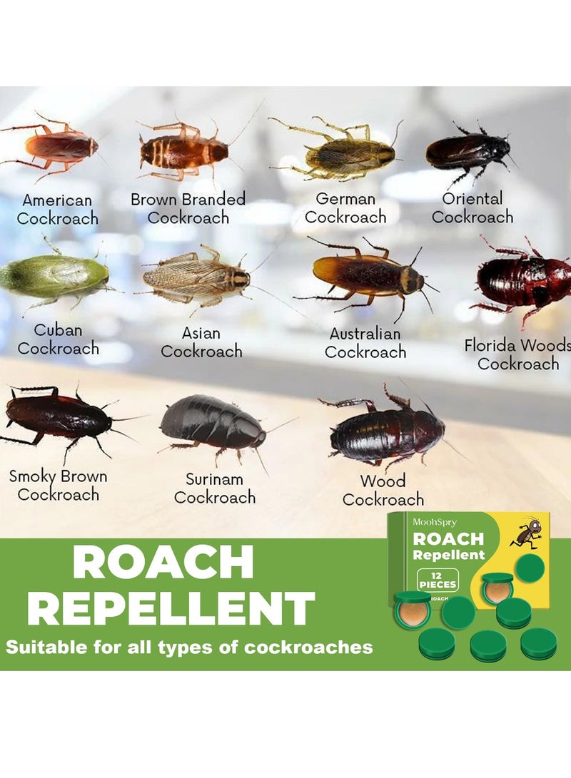 MOONSPRY Roach Bait Stations, Natural Cockroach Repellent, Roach Traps Indoor/Outdoor Use, Roach Killer Indoor Infestation for Small & Large Roaches, Non-Toxic, Long Lasting Protection (12 PCS) - Image 4