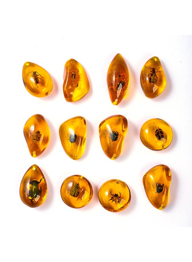 Insect Amber Specimen Amber Scorpion Spider Cici Po Stone Children's Scientific Research Exploration Gift Primary School Textbook-Specification:5 Amber Blind Bags  - Image 3