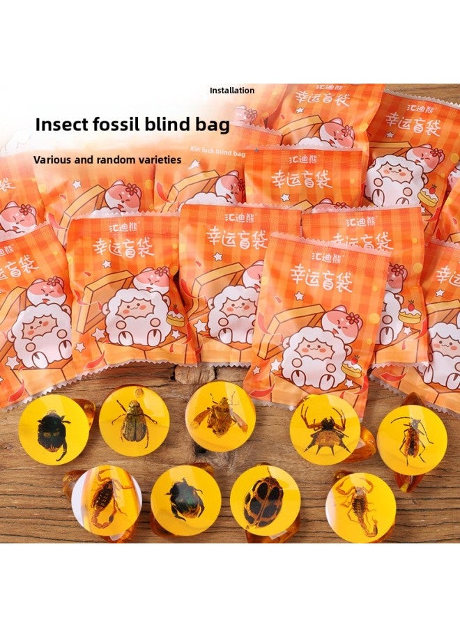 Insect Amber Specimen Amber Scorpion Spider Cici Po Stone Children's Scientific Research Exploration Gift Primary School Textbook-Specification:5 Amber Blind Bags  - Image 1