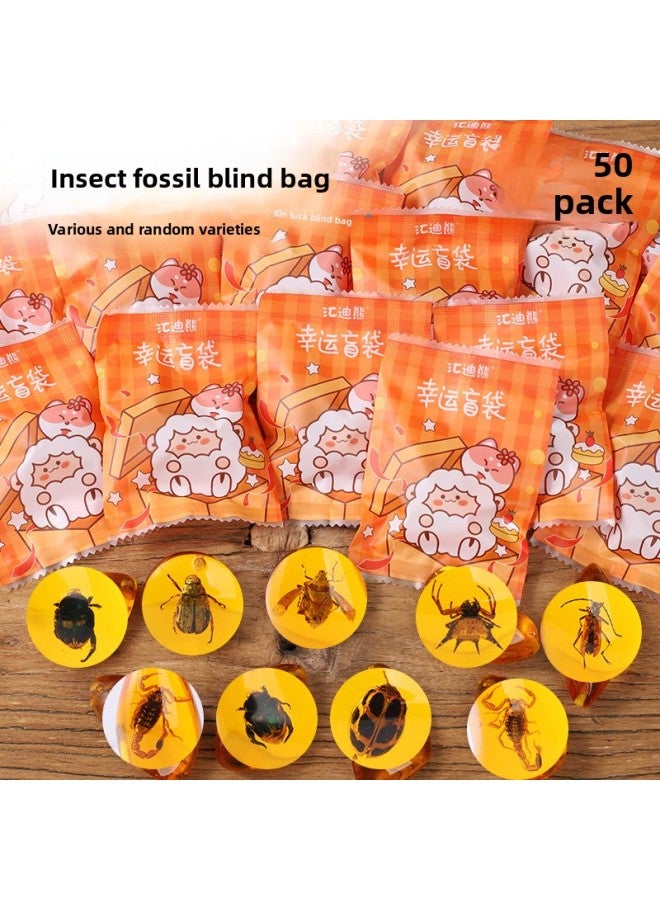 Insect Amber Specimen Amber Scorpion Spider Cici Po Stone Children's Scientific Research Exploration Gift Primary School Textbook-Specification:5 Amber Blind Bags  - Image 2