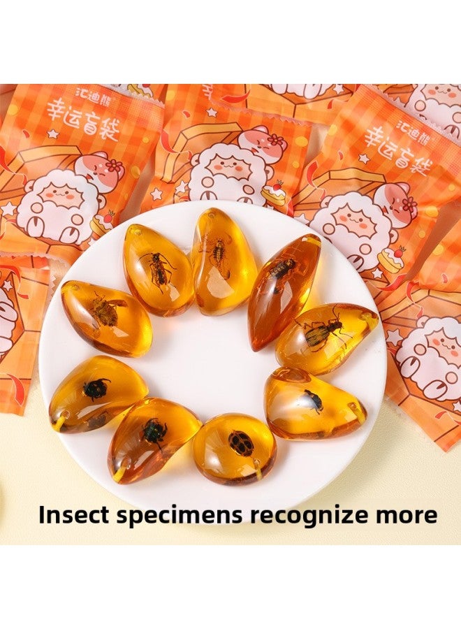 Insect Amber Specimen Amber Scorpion Spider Cici Po Stone Children's Scientific Research Exploration Gift Primary School Textbook-Specification:5 Amber Blind Bags  - Image 5