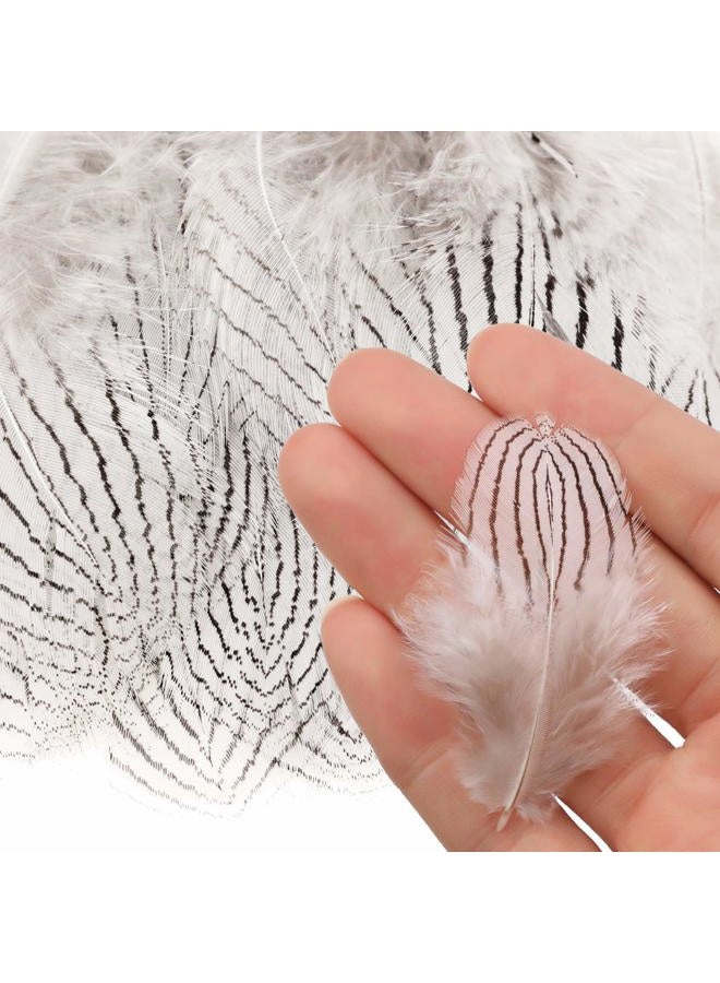 MWOOT 8 Styles Assorted Craft Feathers (160Pcs), Natural Chicken Feathers for DIY Earring Wings Dream Catcher Crafts Activities Project Wedding Party Home Decoration - Image 4