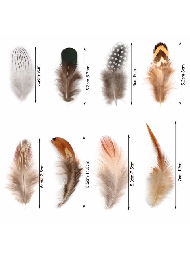 MWOOT 8 Styles Assorted Craft Feathers (160Pcs), Natural Chicken Feathers for DIY Earring Wings Dream Catcher Crafts Activities Project Wedding Party Home Decoration - Image 3