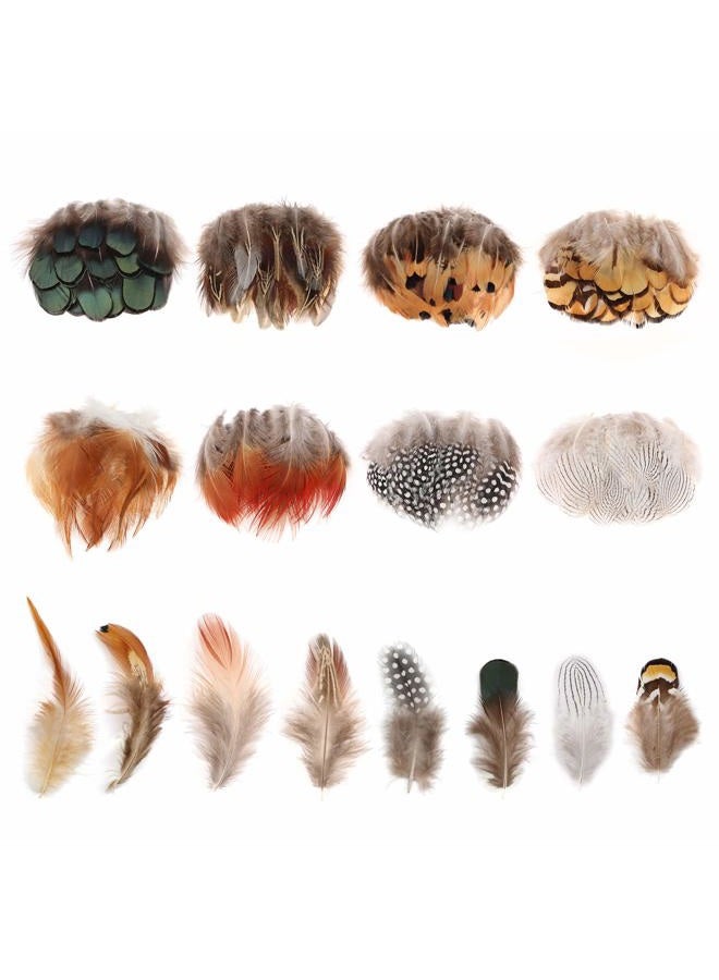 MWOOT 8 Styles Assorted Craft Feathers (160Pcs), Natural Chicken Feathers for DIY Earring Wings Dream Catcher Crafts Activities Project Wedding Party Home Decoration - Image 1