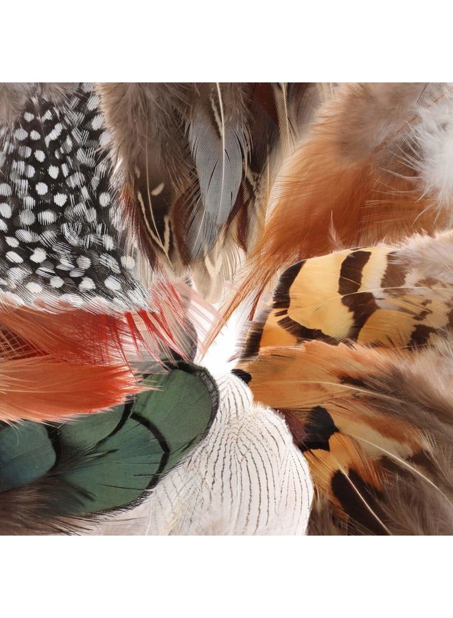 MWOOT 8 Styles Assorted Craft Feathers (160Pcs), Natural Chicken Feathers for DIY Earring Wings Dream Catcher Crafts Activities Project Wedding Party Home Decoration - Image 2