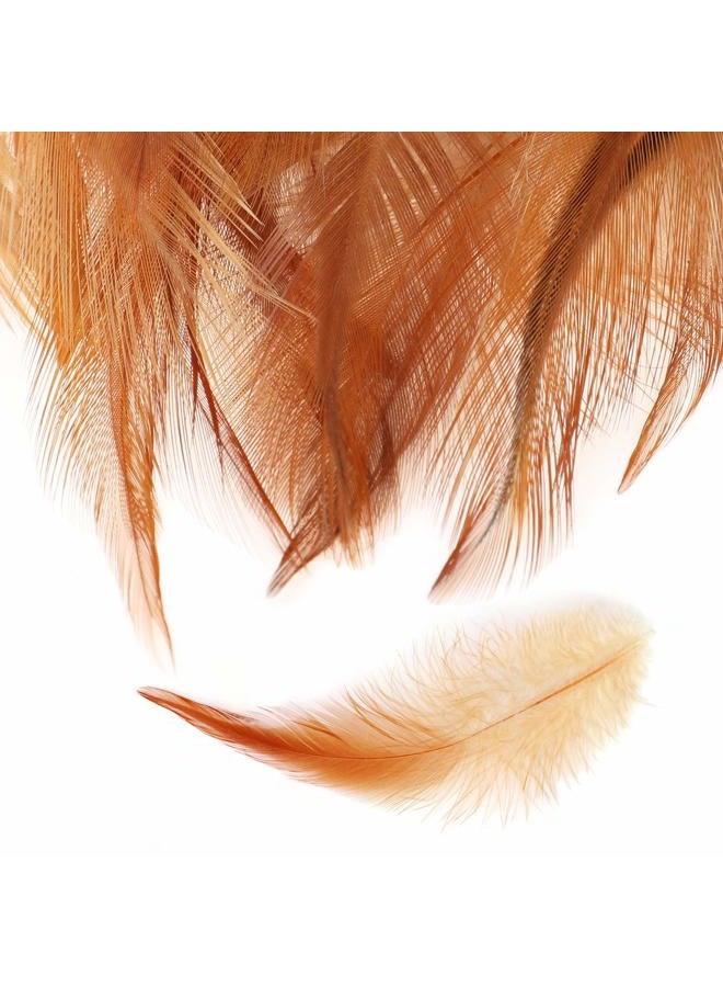 MWOOT 8 Styles Assorted Craft Feathers (160Pcs), Natural Chicken Feathers for DIY Earring Wings Dream Catcher Crafts Activities Project Wedding Party Home Decoration - Image 5