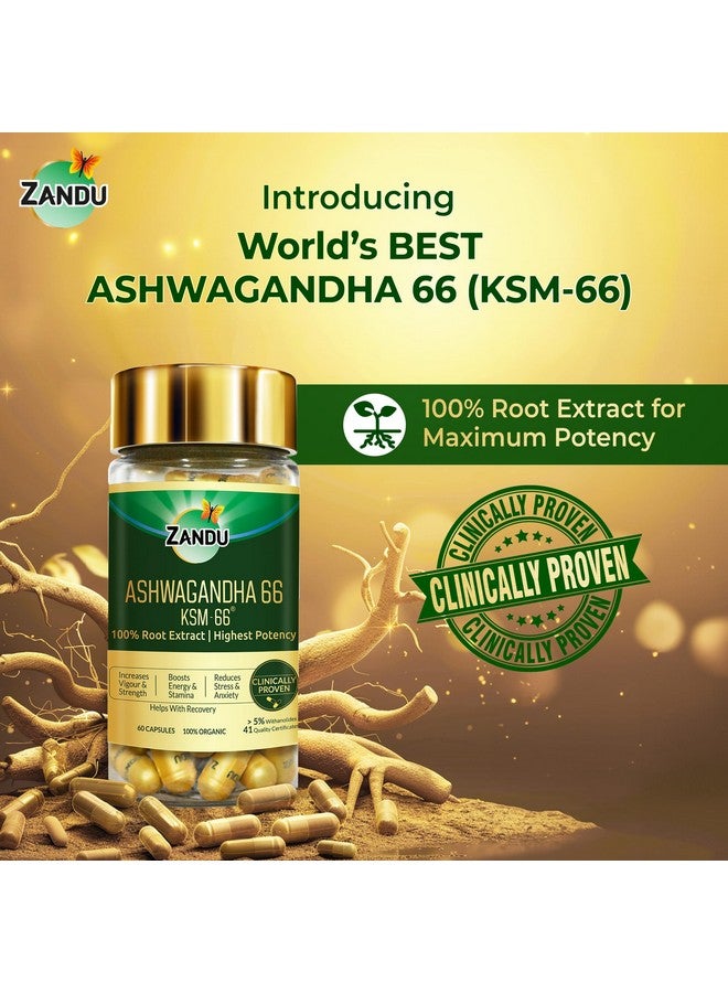 Zandu أقراص زاندو أشواغاندا KSM-66 (600 ملغ تركيبة عالية الجرعة) | مثبت سريرياً لتقليل مستويات التوتر والقلق بنسبة 72% | يعزز الطاقة والقوة | 60 قرص | مستخلص جذر نقي 100%  - Image 4