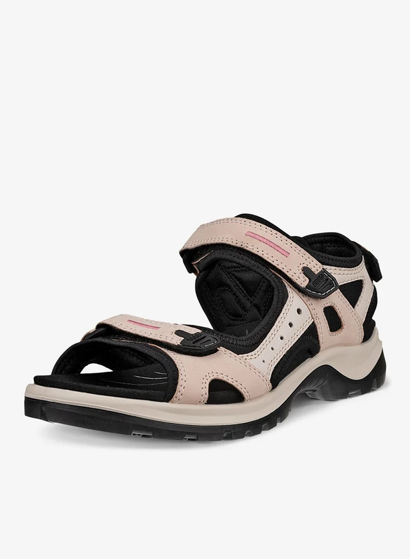 إيكو أوف رود روز دست لايمستون