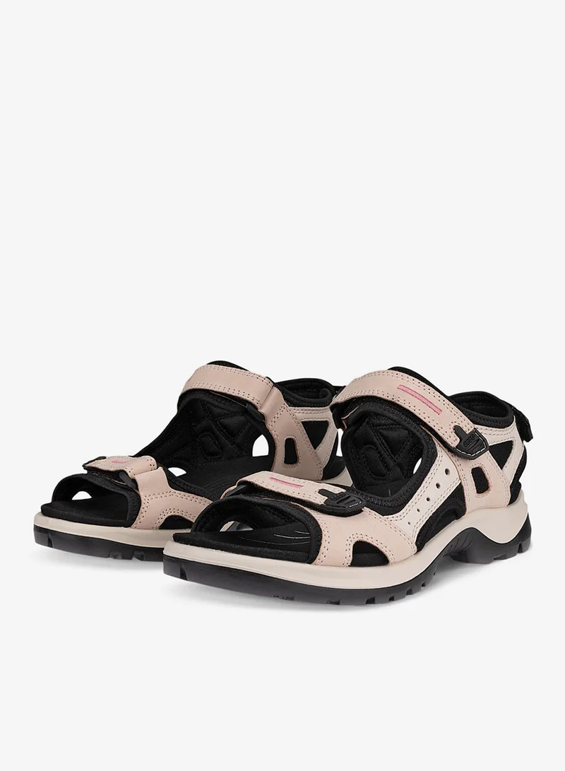 إيكو أوف رود روز دست لايمستون