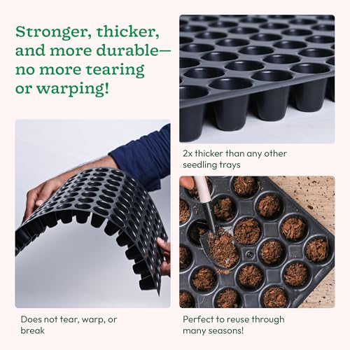 UGAOO Reusable Seedling Tray - Pack of 3 (Black, 50 Holes/Tray) | Durable Plastic Germination Trays with Drainage Holes | Ideal for Seed Starting, Greenhouse, and Indoor Gardening - Image 4