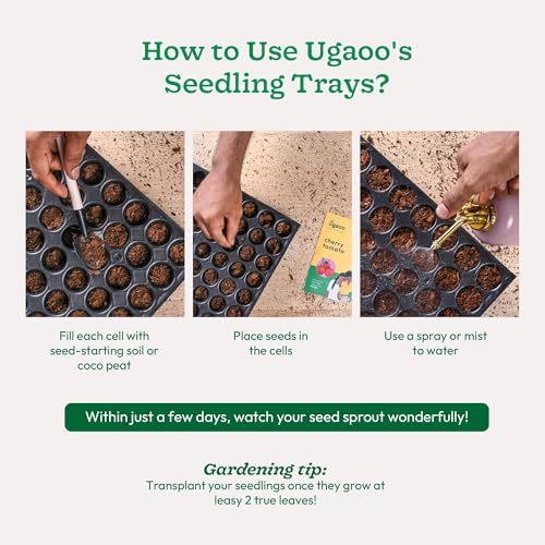 UGAOO Reusable Seedling Tray - Pack of 3 (Black, 50 Holes/Tray) | Durable Plastic Germination Trays with Drainage Holes | Ideal for Seed Starting, Greenhouse, and Indoor Gardening - Image 5
