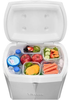 TANK Tank 23L Ice Box - Silver  - Image 5