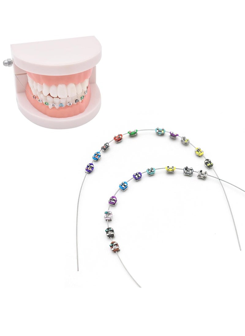 HaLunhi Temporary Tooth Decoration with Metal Wires，Metal Bracket and Orthodontic Ligature Ties，Practice Props for Dental Students（Colorful）  - Image 1
