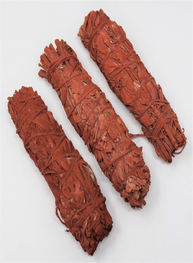CircuitOffice Dragon's Blood Sage smudge stick 3-pack 4"