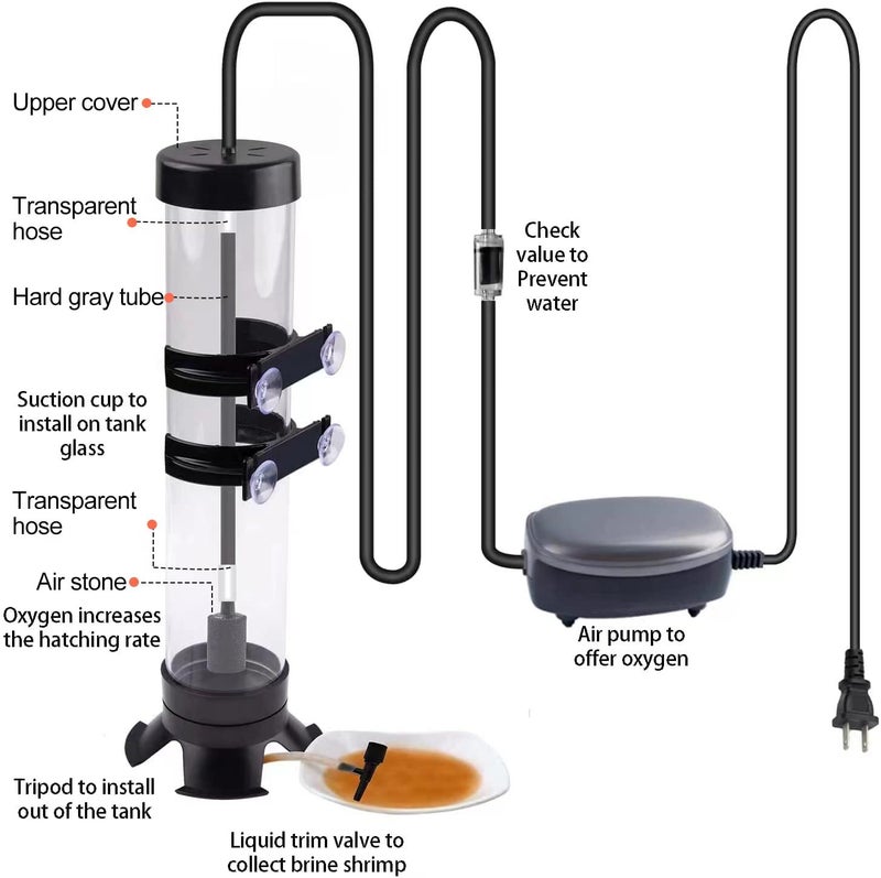 NestBasics Brine Shrimp Hatchery Kits brines Shrimps Eggs Incubator Hatchery brine Shrimp Eggs Incubator Artemia Hatcherying with Silver air Pump - Image 3
