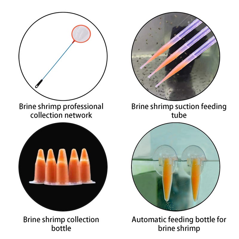 NestBasics Brine Shrimp Hatchery Kits brines Shrimps Eggs Incubator Hatchery brine Shrimp Eggs Incubator Artemia Hatcherying with Silver air Pump - Image 4