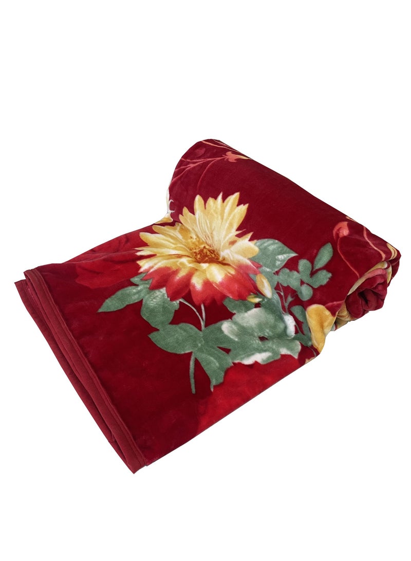 ستارجولد بطانية بطانية ناعمة ذات طبقة واحدة ذات جودة كورية - Image 2