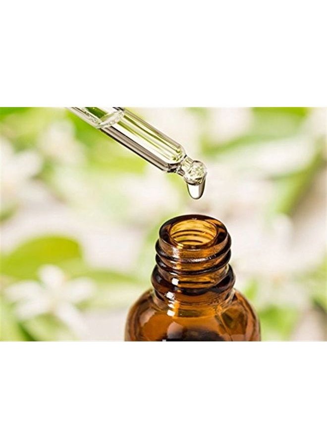 Salvia Brahmi Oil (bacopa monnieri) Carrier Oil 100% Pure & Natural Undiluted Unrefined Uncut Organic Standard Oil Cold Pressed Therapeutic Grade Aromatherapy Bulk Oil (50 ML with Dropper)  - Image 2