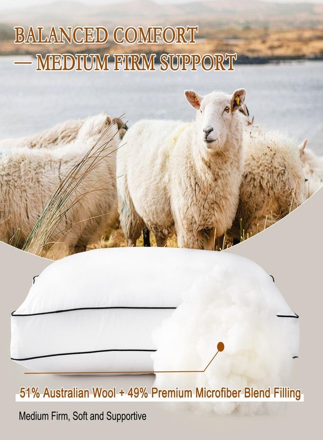 YOUR MOON Natural Wool Pillow King Size, Soft Support Gusseted Bed Pillow for Sleeping, Fluffy Thick Down Alternative Pillows for Side Sleeper, 100% Cotton Cover (White) - Image 3