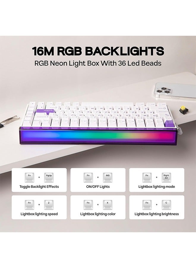 Aula Hero84 HE Wired Magnetic Gaming Keyboard, Rapid Hall Effect Keyboard with 0.01mm Adjustable Actuation, 8kHz Polling, 5-Layer Sound Dampening, RGB Lightbox & Backlit (White Purple) - Image 2