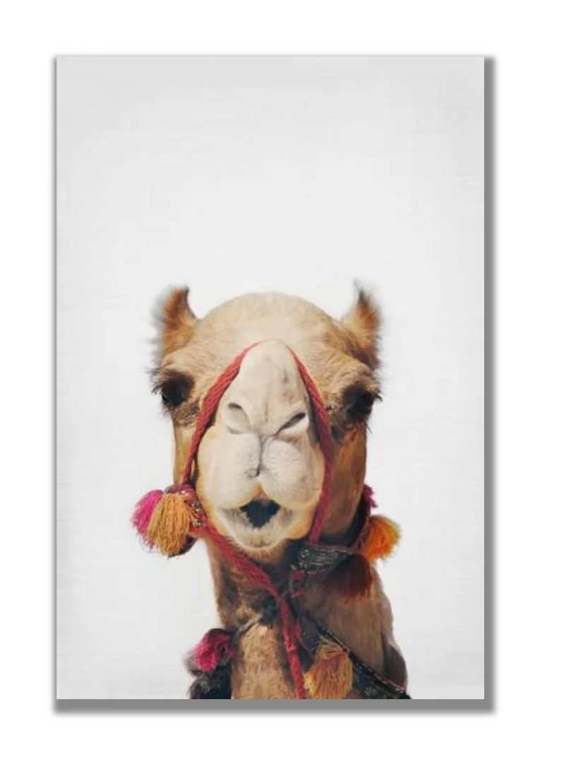Drawdeck Camel
