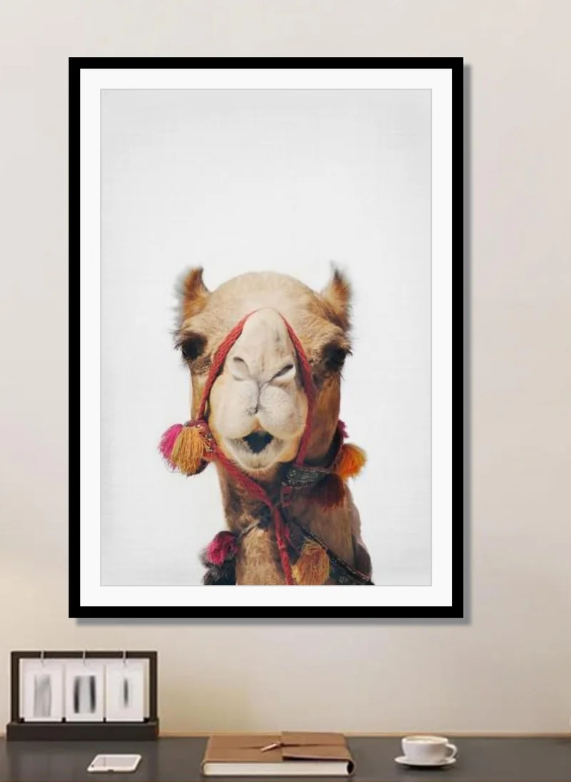 Drawdeck Camel