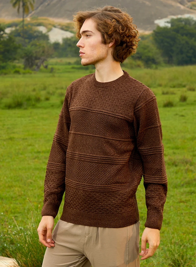 Campus Sutra Men's Umber Brown Textured-Knit Pullover Sweater