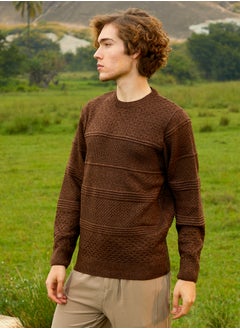 Campus Sutra Men's Umber Brown Textured-Knit Pullover Sweater  - Image 3