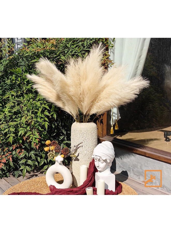 ZIFTY 7-Pcs 38"/3.1FT Faux Pampas Grass Large Tall Fluffy Artificial Fake Flower Boho Decor Bulrush Reed Grass for Vase Filler Farmhouse Home Wedding Decor (Beige) - Image 4