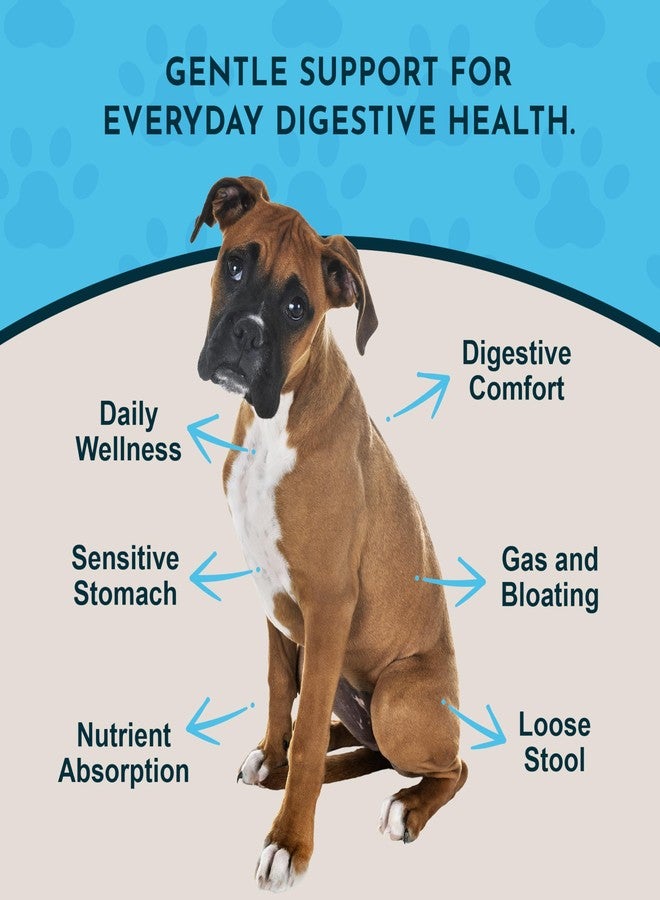 Animal Essentials Daily Digestion 1 fl oz - Image 3