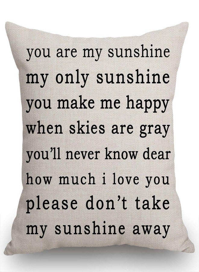Swono You are My Sunshine Farmhouse Pillow, Song Lyrics Presents, Happiness Quote Living Room Throw Pillow, Pillow Covers - Image 5