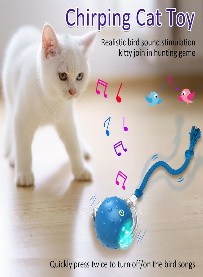 Flavizo Automatic Interactive Cat Toy Ball with Bird Chirp Sounds, 3 Play Modes & USB Rechargeable | Intelligent Rolling Kitten Toys with Rope Tail for Indoor Cats (6.5 X 5.6 cm) - Image 4