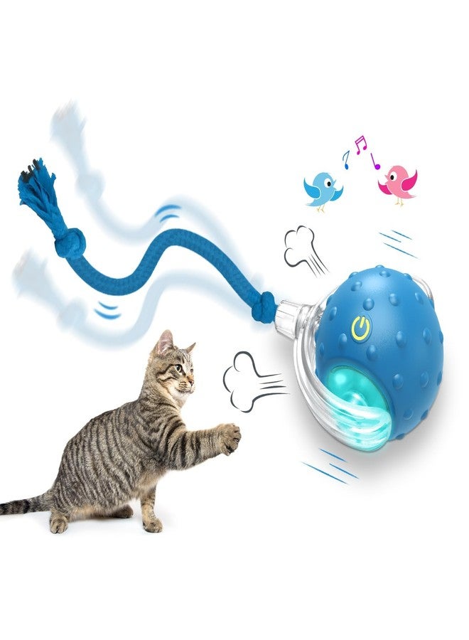 Flavizo Automatic Interactive Cat Toy Ball with Bird Chirp Sounds, 3 Play Modes & USB Rechargeable | Intelligent Rolling Kitten Toys with Rope Tail for Indoor Cats (6.5 X 5.6 cm) - Image 1