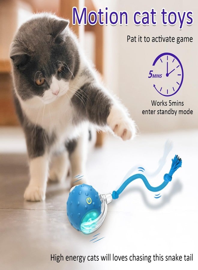 Flavizo Automatic Interactive Cat Toy Ball with Bird Chirp Sounds, 3 Play Modes & USB Rechargeable | Intelligent Rolling Kitten Toys with Rope Tail for Indoor Cats (6.5 X 5.6 cm) - Image 2