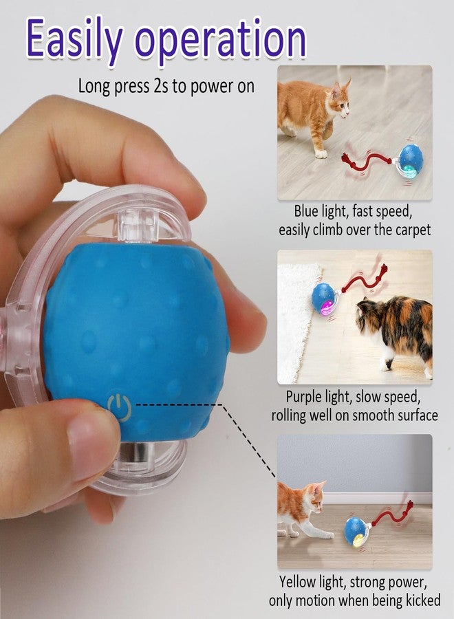 Flavizo Automatic Interactive Cat Toy Ball with Bird Chirp Sounds, 3 Play Modes & USB Rechargeable | Intelligent Rolling Kitten Toys with Rope Tail for Indoor Cats (6.5 X 5.6 cm) - Image 3