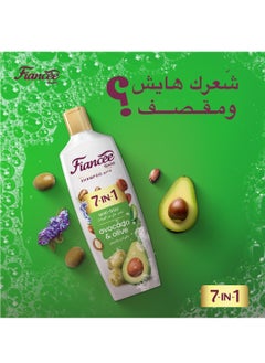 Shampoo with Avocado & Olive 170ml - pzsku/ZF0E98FF2B48FDE769CFDZ/45/_/1710437731/3865301f-94a3-4190-b27f-32c2f10501ee