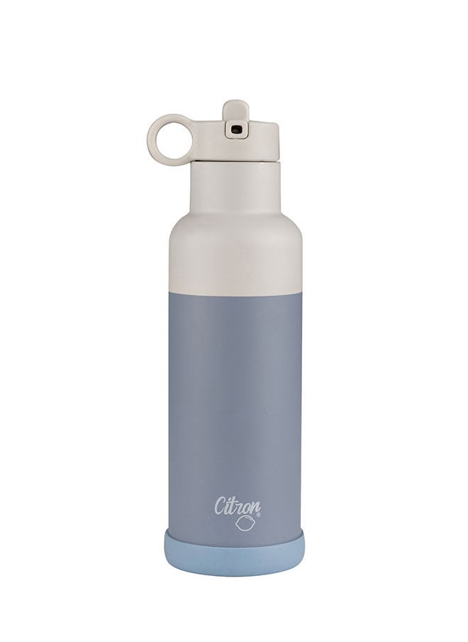 Vacuum Insulated Stainless Steel Water Bottle 500 Ml - Dusty Blue - pzsku/ZF0EA49B26FABDC8085E3Z/45/_/1678705102/6ea3cd50-a02f-4180-af9f-afda1824c3b7