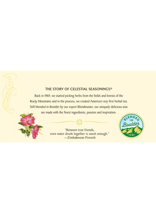 CELESTIAL SEASONINGS Raspberry Zinger Tea, 20 ct  - Image 2