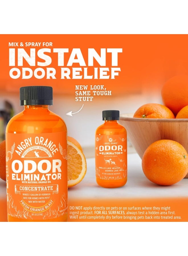 Angry Orange Pet Odor Eliminator Concentrate – 8oz Citrus Powered Concentrate for Strong Dog & Cat Urine Smells, Safe for Most Fabrics, Great for Carpets, Upholstery - Makes 128oz of Liquid - Image 4