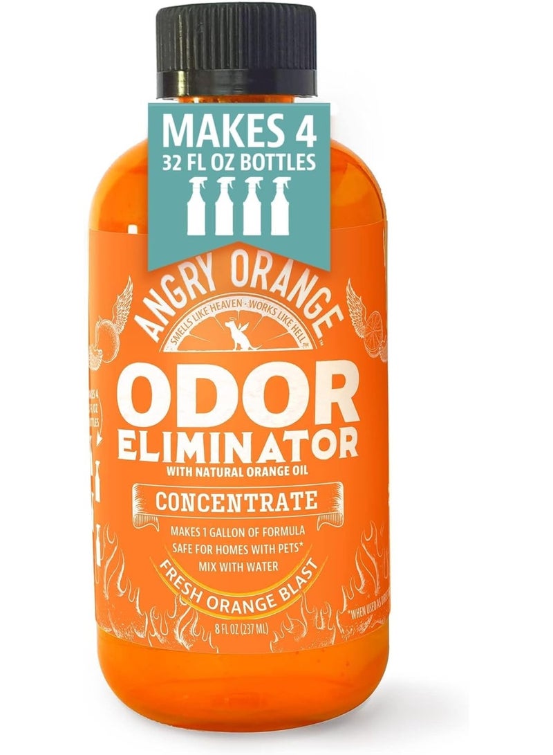 Angry Orange Pet Odor Eliminator Concentrate – 8oz Citrus Powered Concentrate for Strong Dog & Cat Urine Smells, Safe for Most Fabrics, Great for Carpets, Upholstery - Makes 128oz of Liquid - Image 1