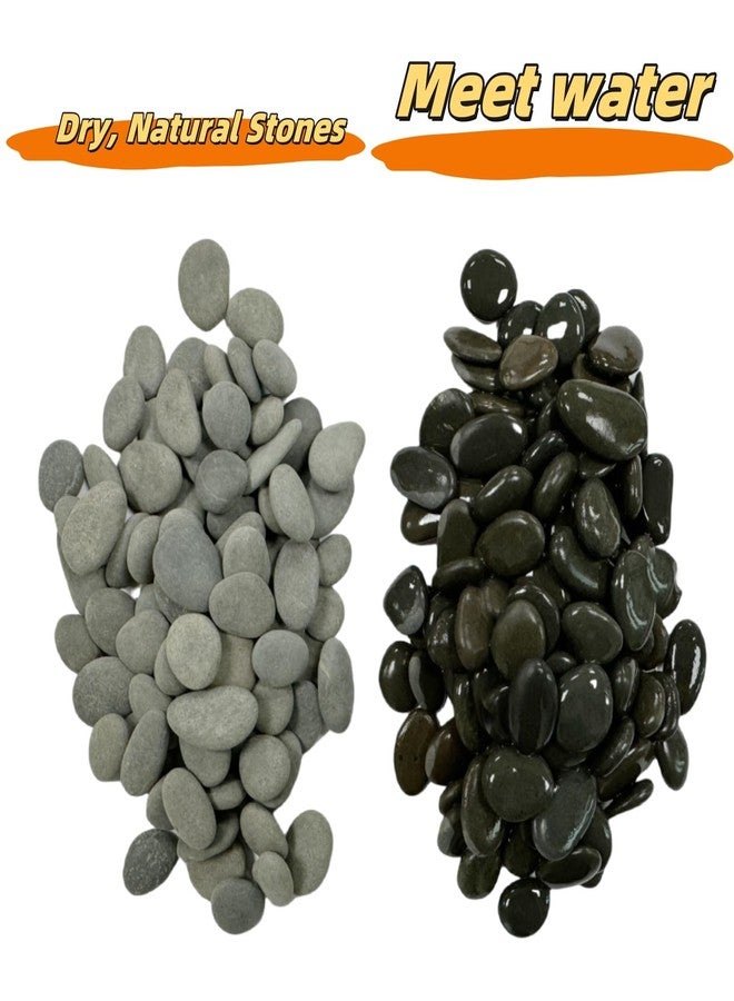 Lifetop Tiny River Rocks, 0.5"-1.0" Pebbles for Plants & Succulents, Decorative Outdoor Landscaping Garden Rocks, Natural Pebbles Aquarium Rocks Gravel for Flower Bed Fish Tank Plants Vases (1LB) - Image 4