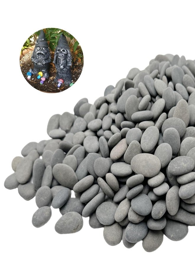 Lifetop Tiny River Rocks, 0.5"-1.0" Pebbles for Plants & Succulents, Decorative Outdoor Landscaping Garden Rocks, Natural Pebbles Aquarium Rocks Gravel for Flower Bed Fish Tank Plants Vases (1LB) - Image 1