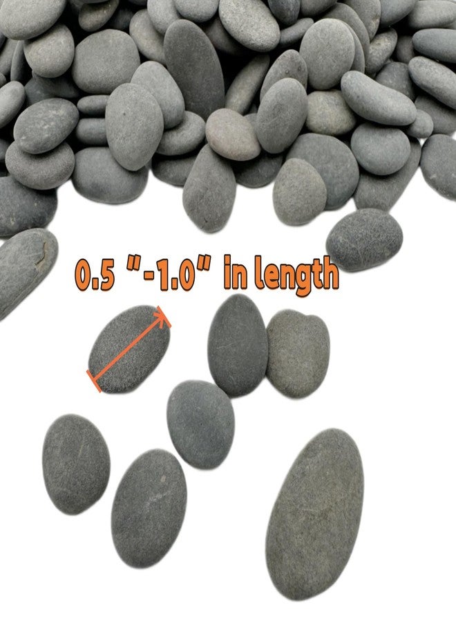 Lifetop Tiny River Rocks, 0.5"-1.0" Pebbles for Plants & Succulents, Decorative Outdoor Landscaping Garden Rocks, Natural Pebbles Aquarium Rocks Gravel for Flower Bed Fish Tank Plants Vases (1LB) - Image 3