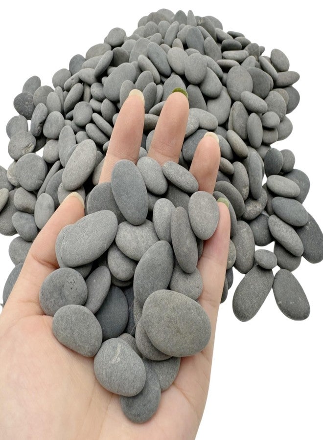 Lifetop Tiny River Rocks, 0.5"-1.0" Pebbles for Plants & Succulents, Decorative Outdoor Landscaping Garden Rocks, Natural Pebbles Aquarium Rocks Gravel for Flower Bed Fish Tank Plants Vases (1LB) - Image 2