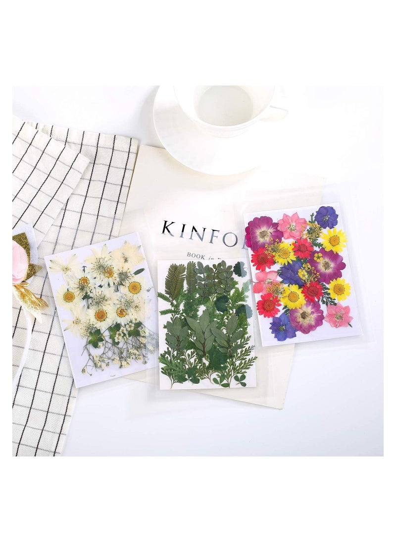 72 PCS Real Dried Pressed Flowers, Art Natural Dried Flower Leaf Plant Herbarium for Making Jewelry Nail Scrapbooking DIY Candle Decoration Resin Jewelry Crafts Making (White Daisy) - Image 2
