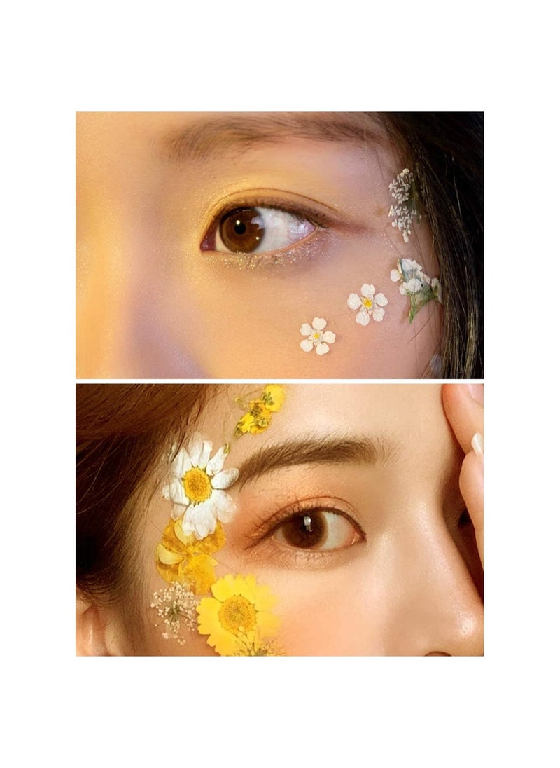 72 PCS Real Dried Pressed Flowers, Art Natural Dried Flower Leaf Plant Herbarium for Making Jewelry Nail Scrapbooking DIY Candle Decoration Resin Jewelry Crafts Making (White Daisy) - Image 5