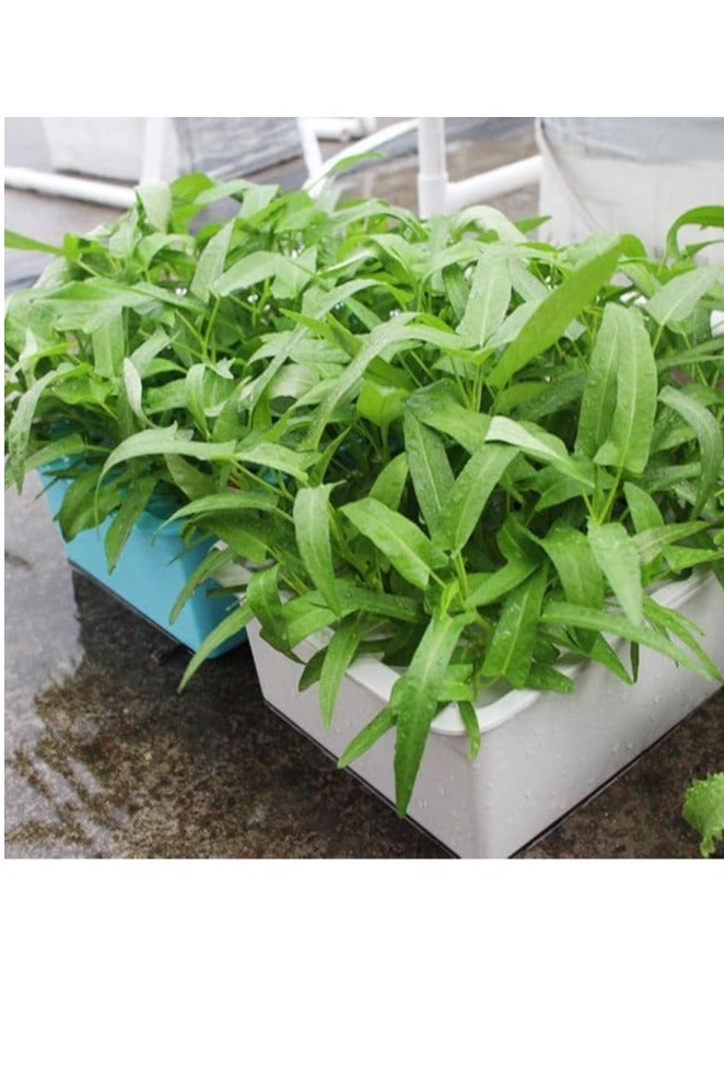 صندوق نظام الزراعة المائية 14 وعاء - Image 2