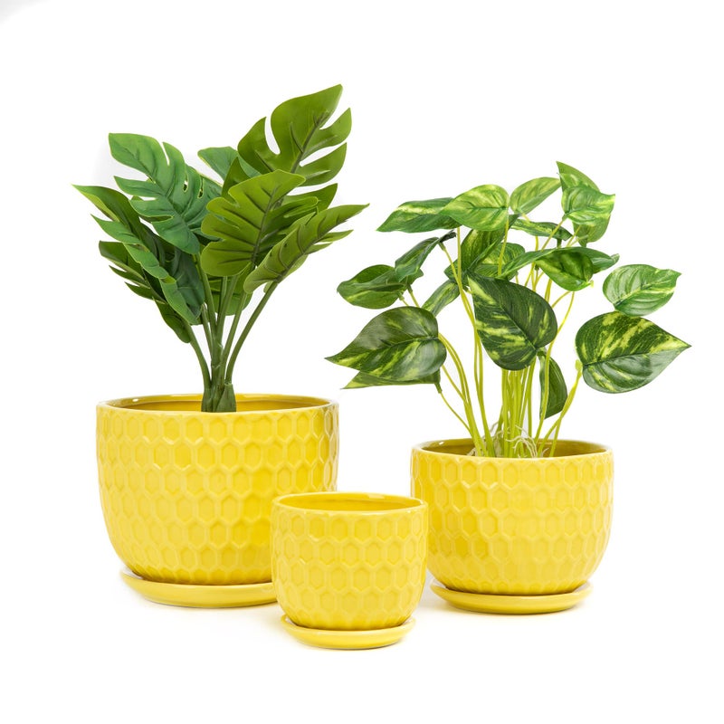 Nattol Yellow Ceramic Flower Pots with Saucers, Modern Round Ceramic Succulent Plant Pots with Honeycomb Inspired Texture Design, Small to Medium Sized, Set of 3 - Image 1