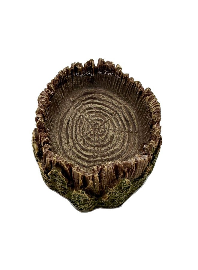 CATENEED Small Reptile Food Dish, 2 Pack Reptile Feeding Food Bowls for Bearded Dragon Gecko Lizard Frog Hermit Crab Snail Toad - Image 3