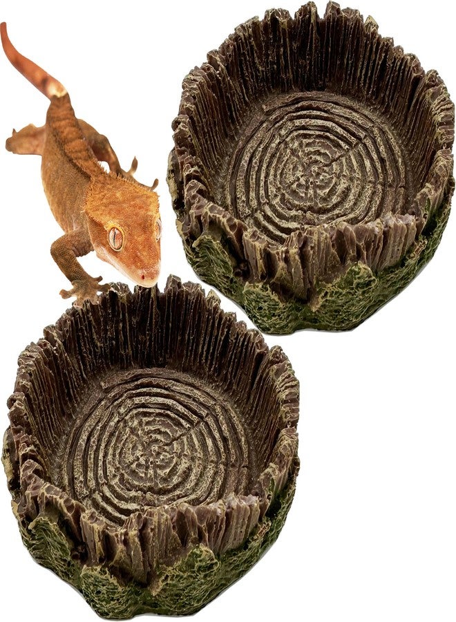 CATENEED Small Reptile Food Dish, 2 Pack Reptile Feeding Food Bowls for Bearded Dragon Gecko Lizard Frog Hermit Crab Snail Toad - Image 1